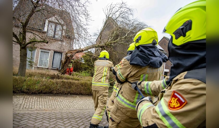 De brandweer heeft de boom omver getrokken.
