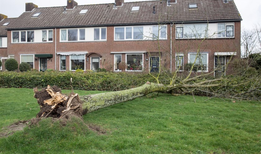 Eerdere stormschade, foto ter illustratie.