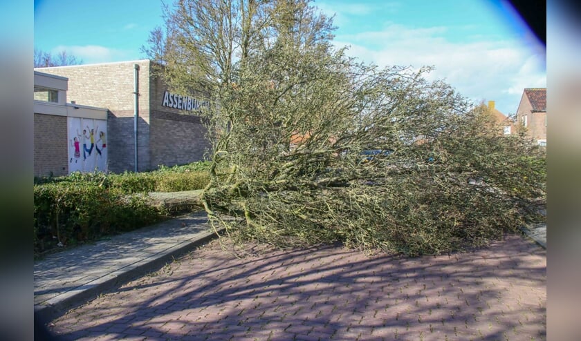 Eerdere stormschade, foto ter illustratie.
