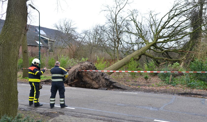 Eerdere stormschade, foto ter illustratie