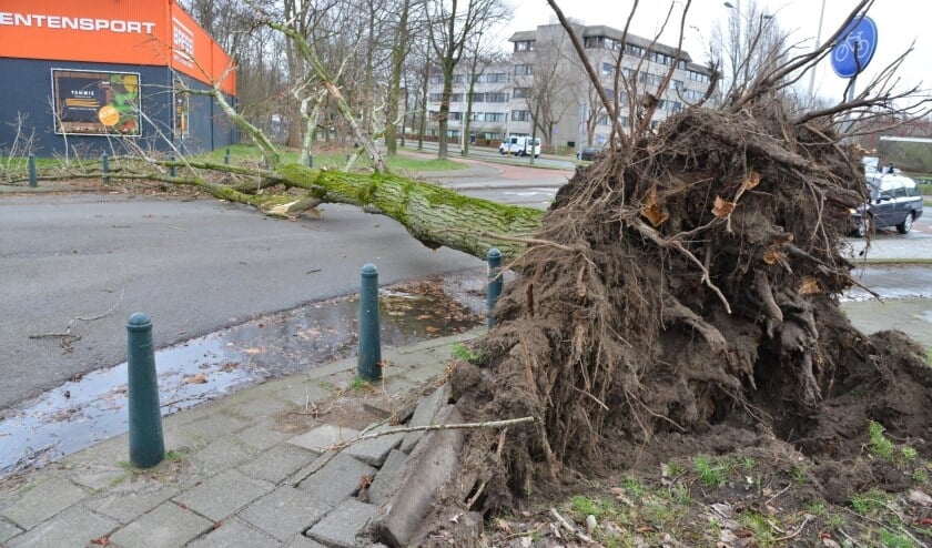 Eerdere stormschade, foto ter illustratie.