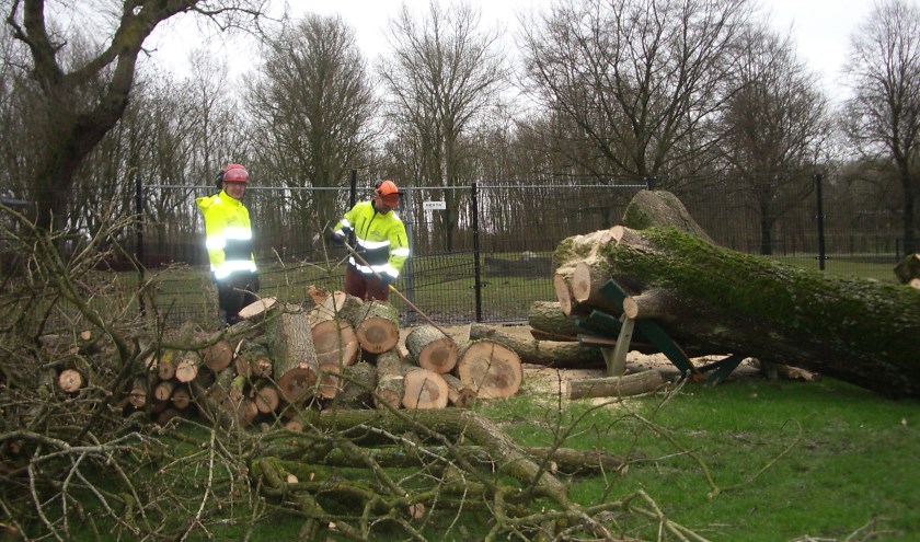 Eerdere stormschade, foto ter illustratie