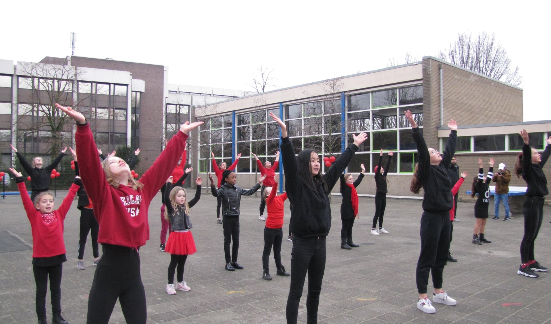 Dansen voor One Billion Rising