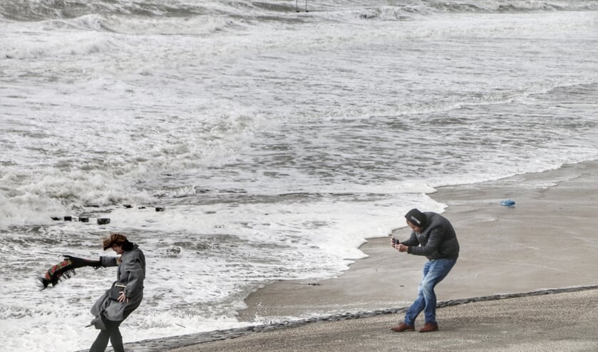 Foto ter illustratie.