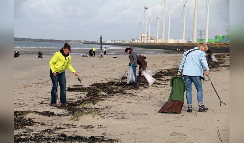 Opruimactie op strandje bij Baarland en de Kaloot  