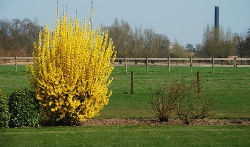 Zaterdsg en zondag mooi en warn.