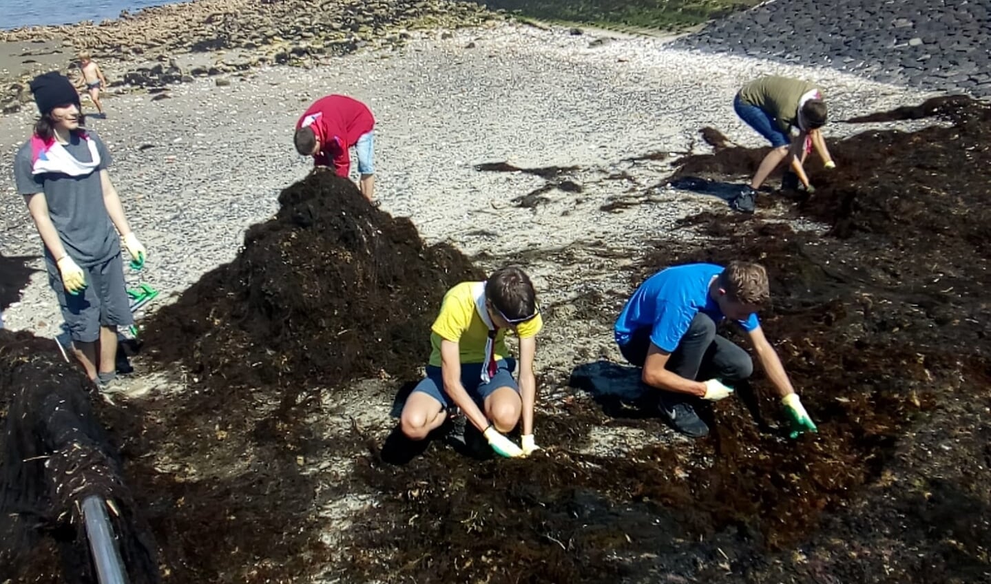 Explorers doorzoeken zeewier op zoek naar plastic. FOTO SANDRA DE DREU