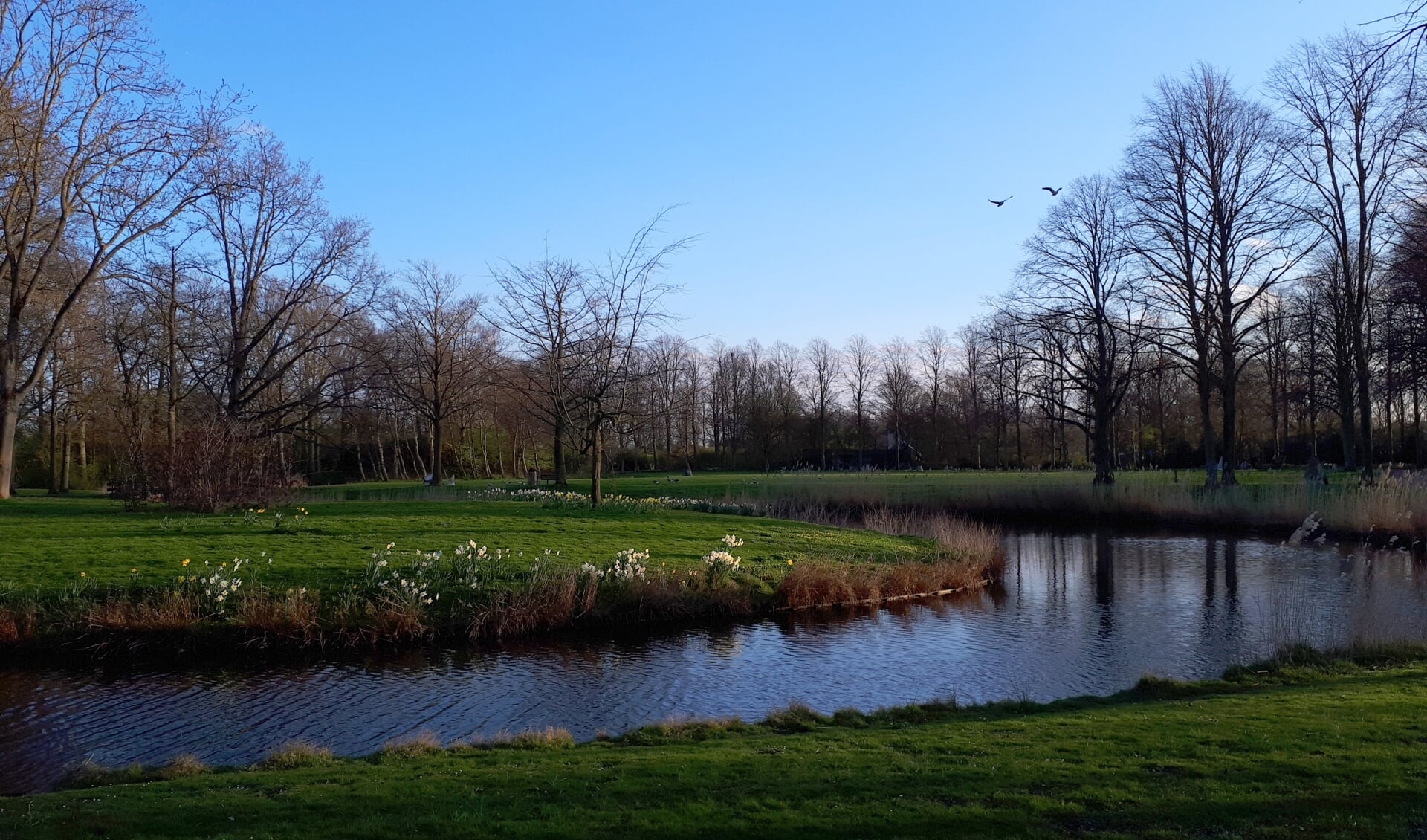 Park Toorenvliedt in Middelburg.