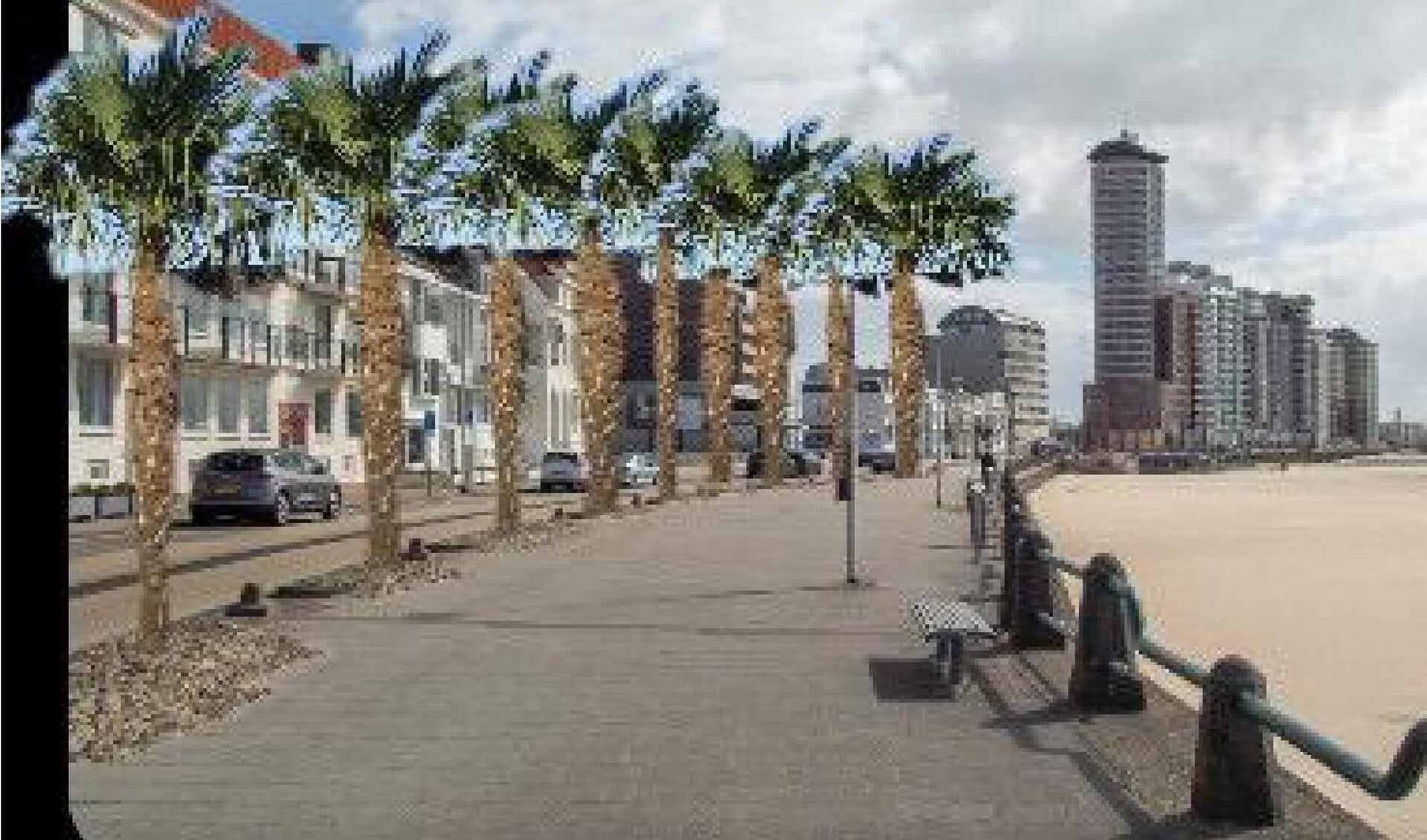 SGP Vlissingen pleit voor palmbomen op de boulevard.