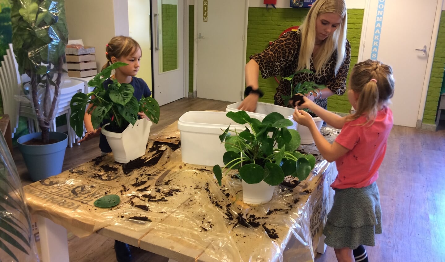 Leerlingen helpen bij het planten