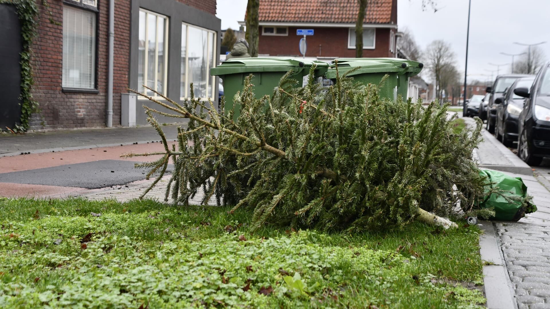 Zo lever je in Breda je kerstboom in BredaVandaag Hét nieuws uit Breda