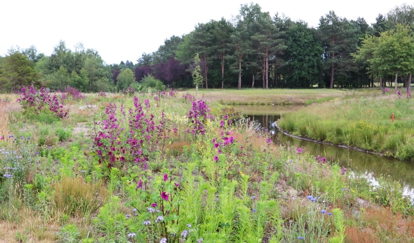 <p>Een impressie van de Ecologische Verbindingszone De Bleekloop.</p>