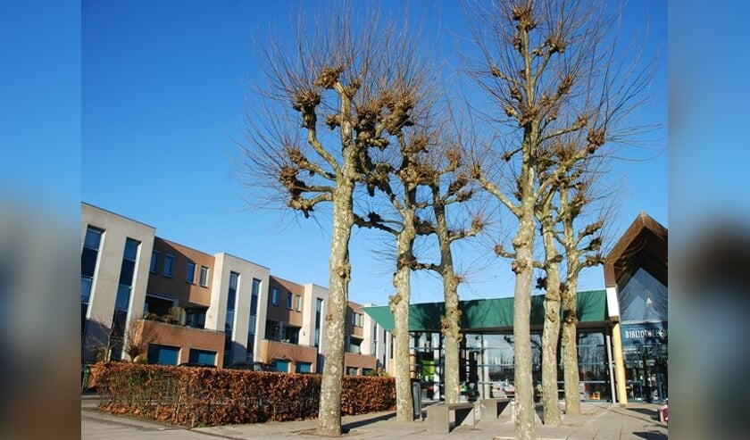 Het is maandag een prachtige herfstdag.