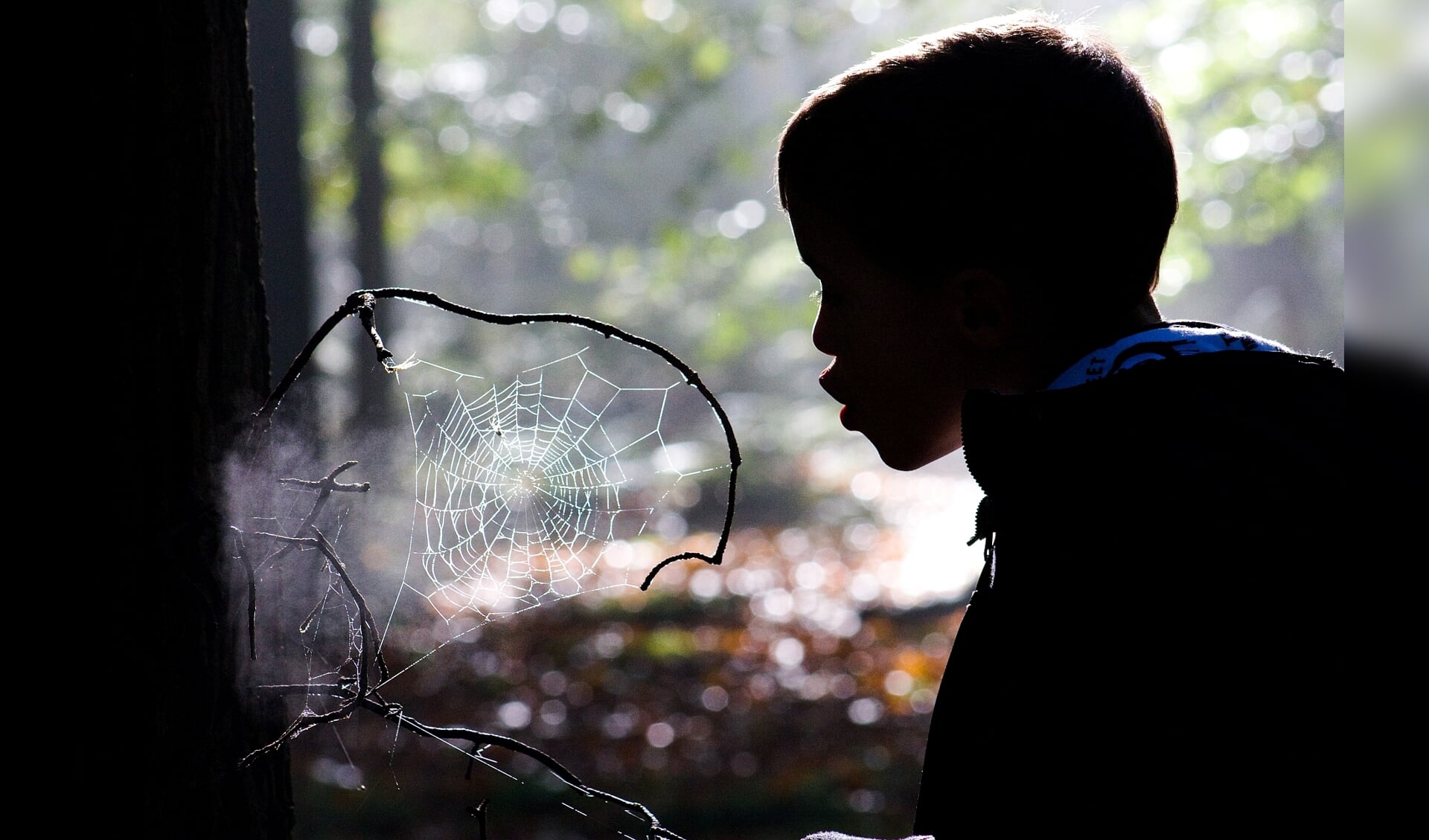 Jongen blaast tegen spinnenweb