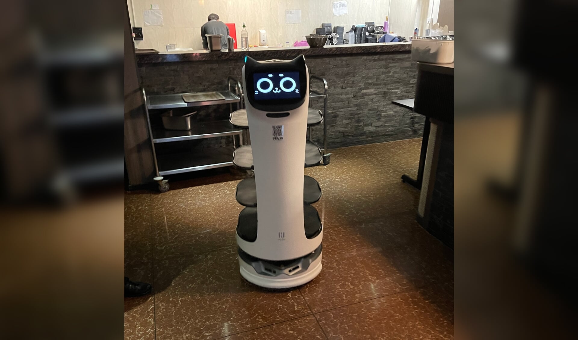 uitzondering Maak los Negen Primeur: een robot in de bediening bij Sakura Huis Middelburg - Al het  nieuws uit Middelburg