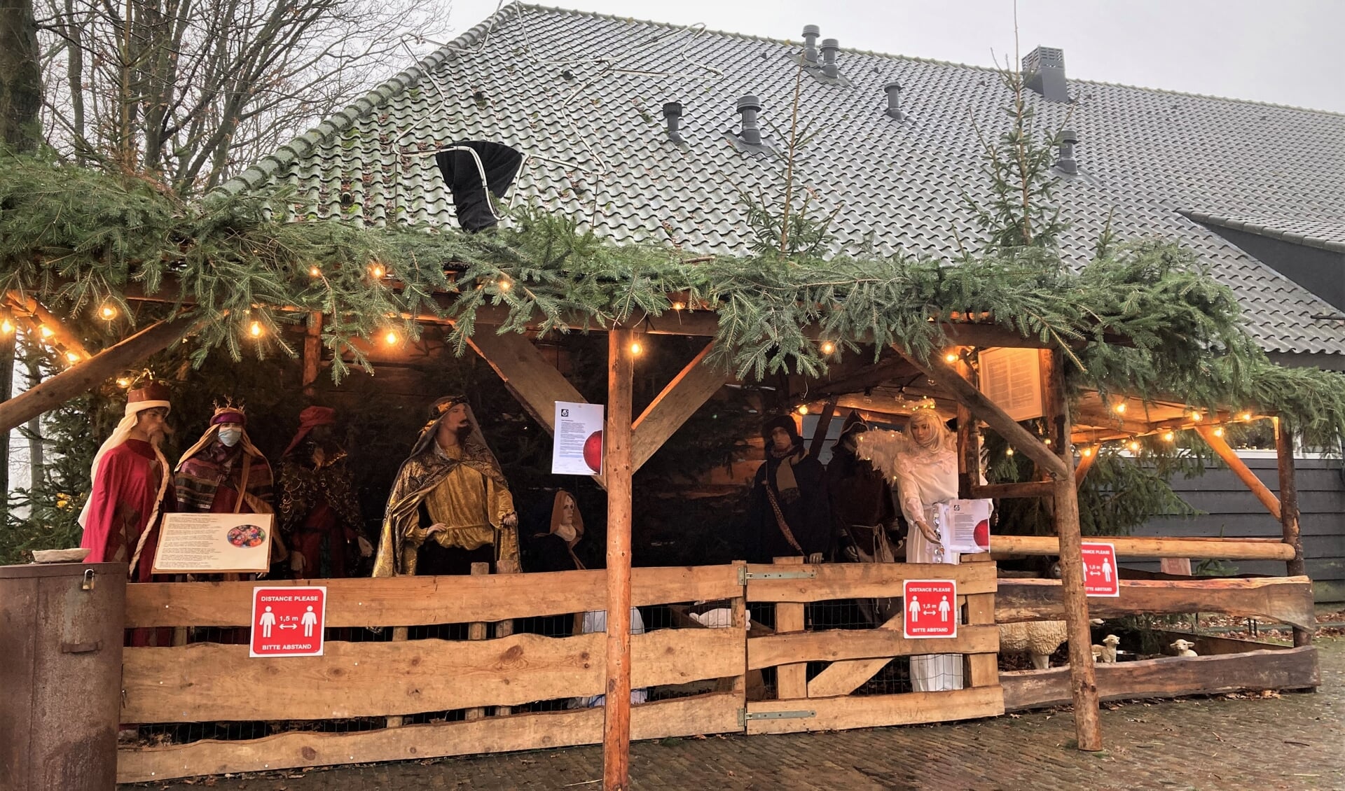 Vrijwilligers van Ulvenhout Leeft bouwden zaterdag 11 december de traditionele kerststal op het Pekhoeveterrein op.