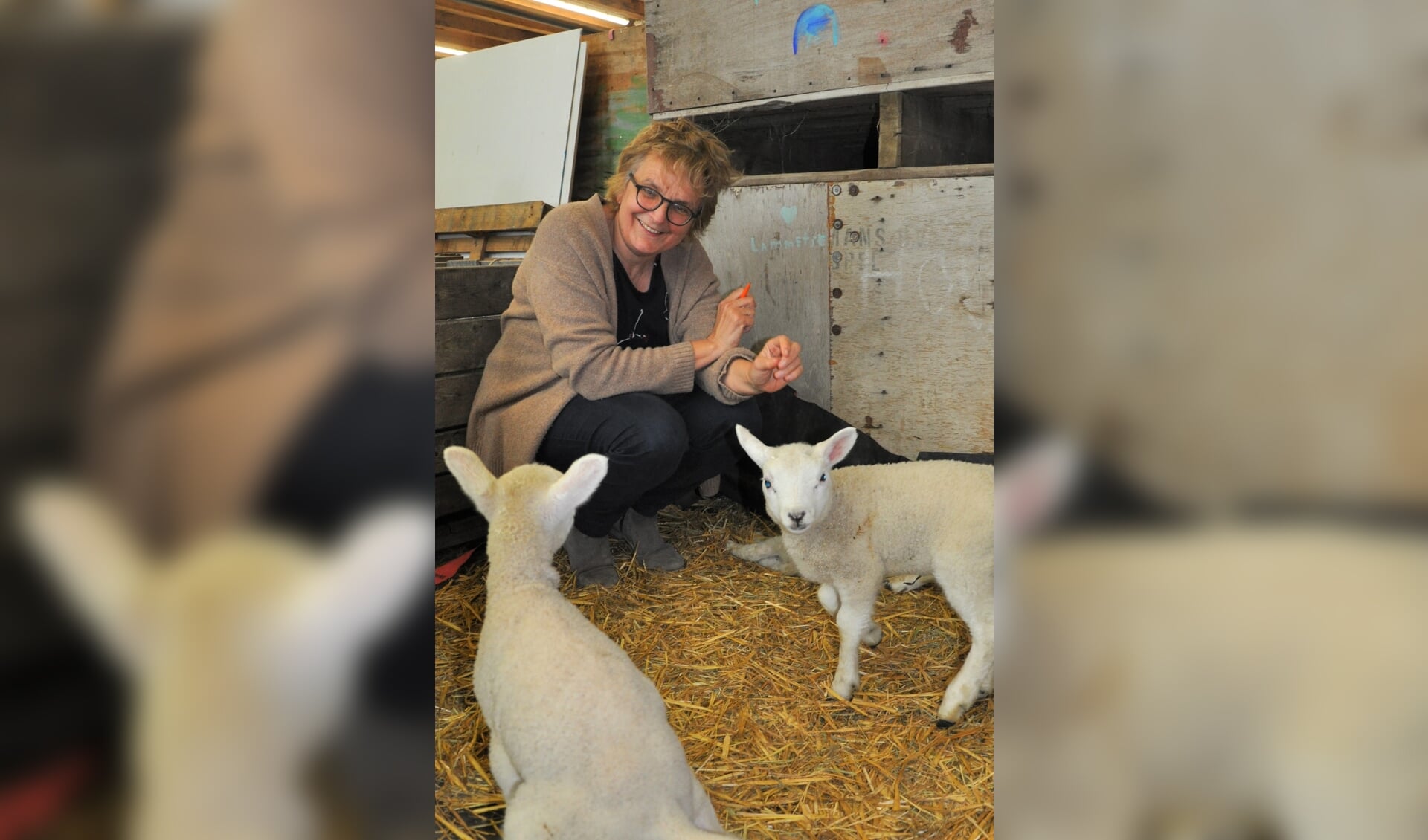 Marianne Rommens van Zorghoeve Kakelbont in Dinteloord: 'Zelfs voor de verstoten lammetjes van de buurman functioneren we als zorgboerderij'