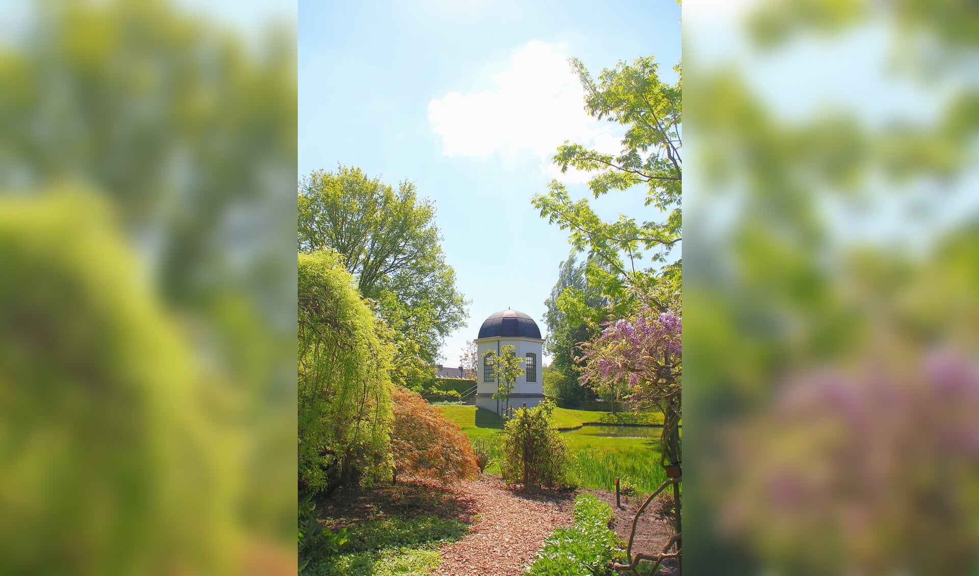 De beeld bepalende theekoepel van het Arboretum Oudenbosch