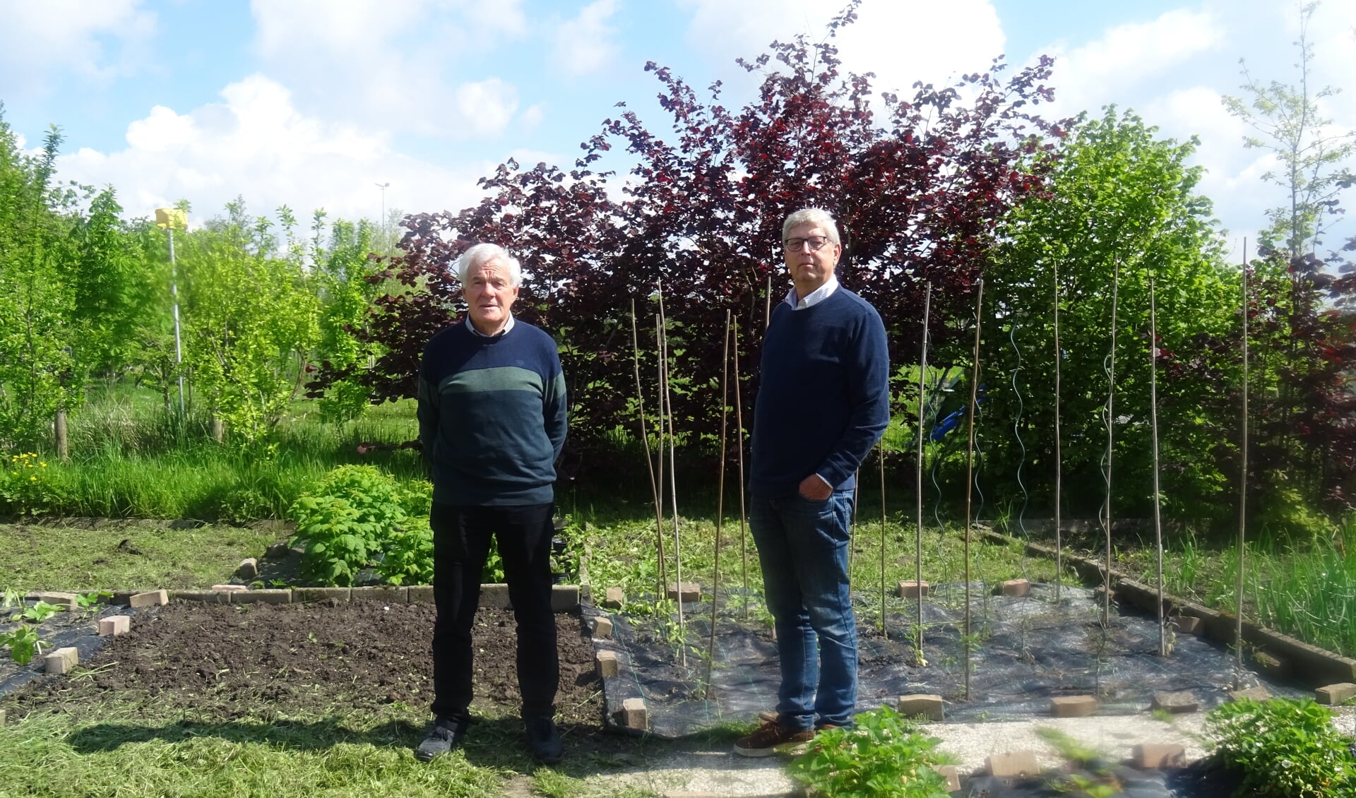 Arie en Marten in de volkstuin aan de Priorindreef. 