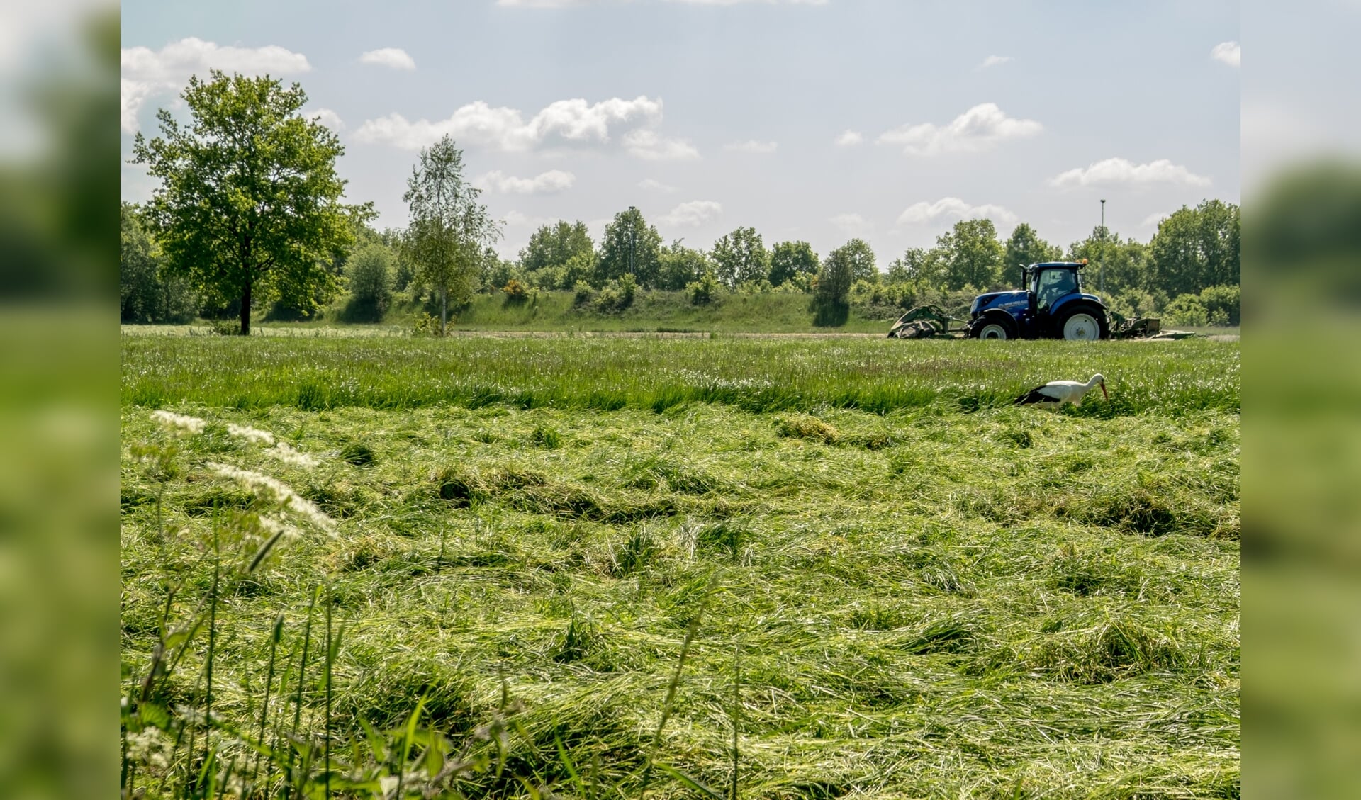 Ondernemen in het Markdal. 