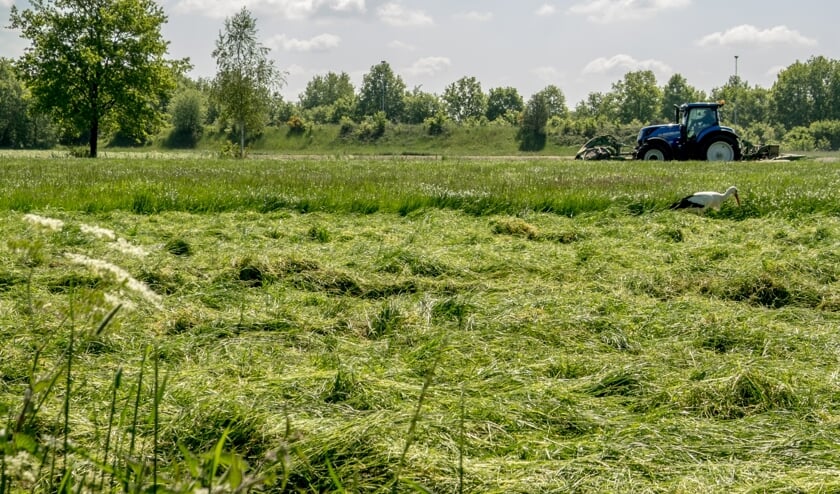 Ondernemen in het Markdal.