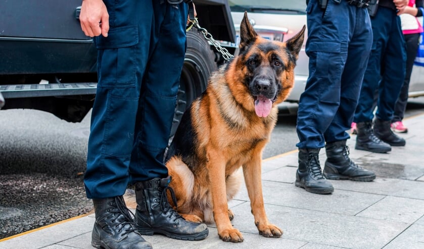 <p>Foto ter illustratie</p>