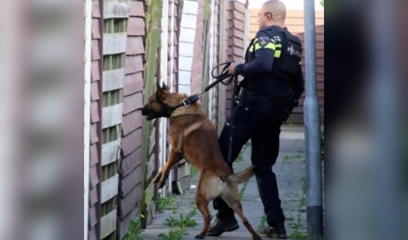 <p>Agent en hondengeleider Cor Houmes in actie met Barry.</p>