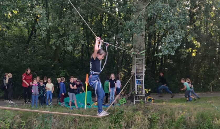<p>Een van de oudste welpen trotseert de touwbrug.</p>