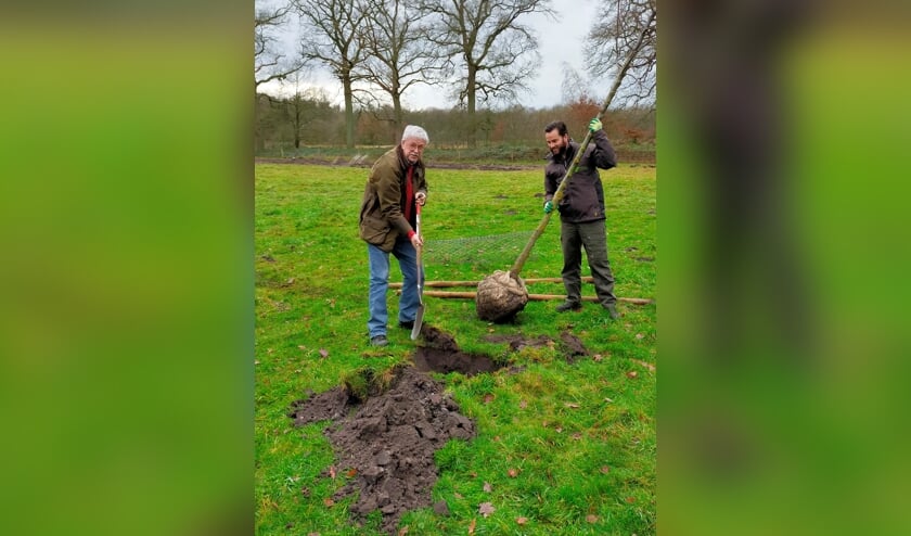 Bart Pörtzgen van het Brabants Landschap en Jack Roelands van Cultuurlandgoederen planten een winterlinde in de Pannenhoef.   