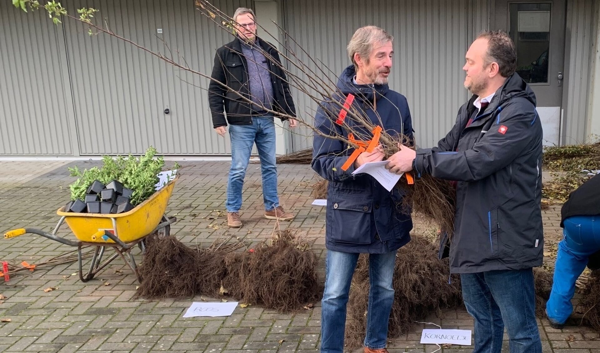 Wethouder Jeroen Louws deelt het eerste boompje uit in Middelburg