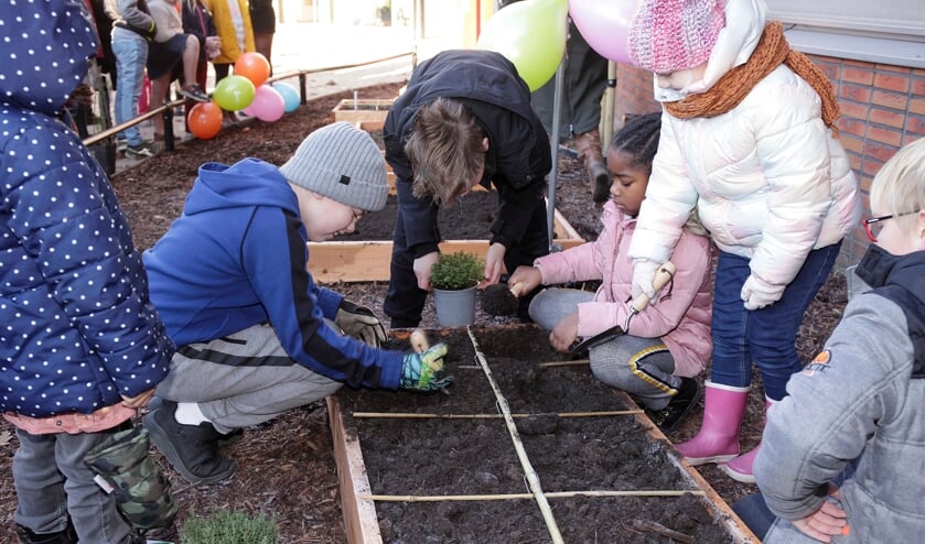 Basisschool Delphin neemt schoolmoestuin in gebruik