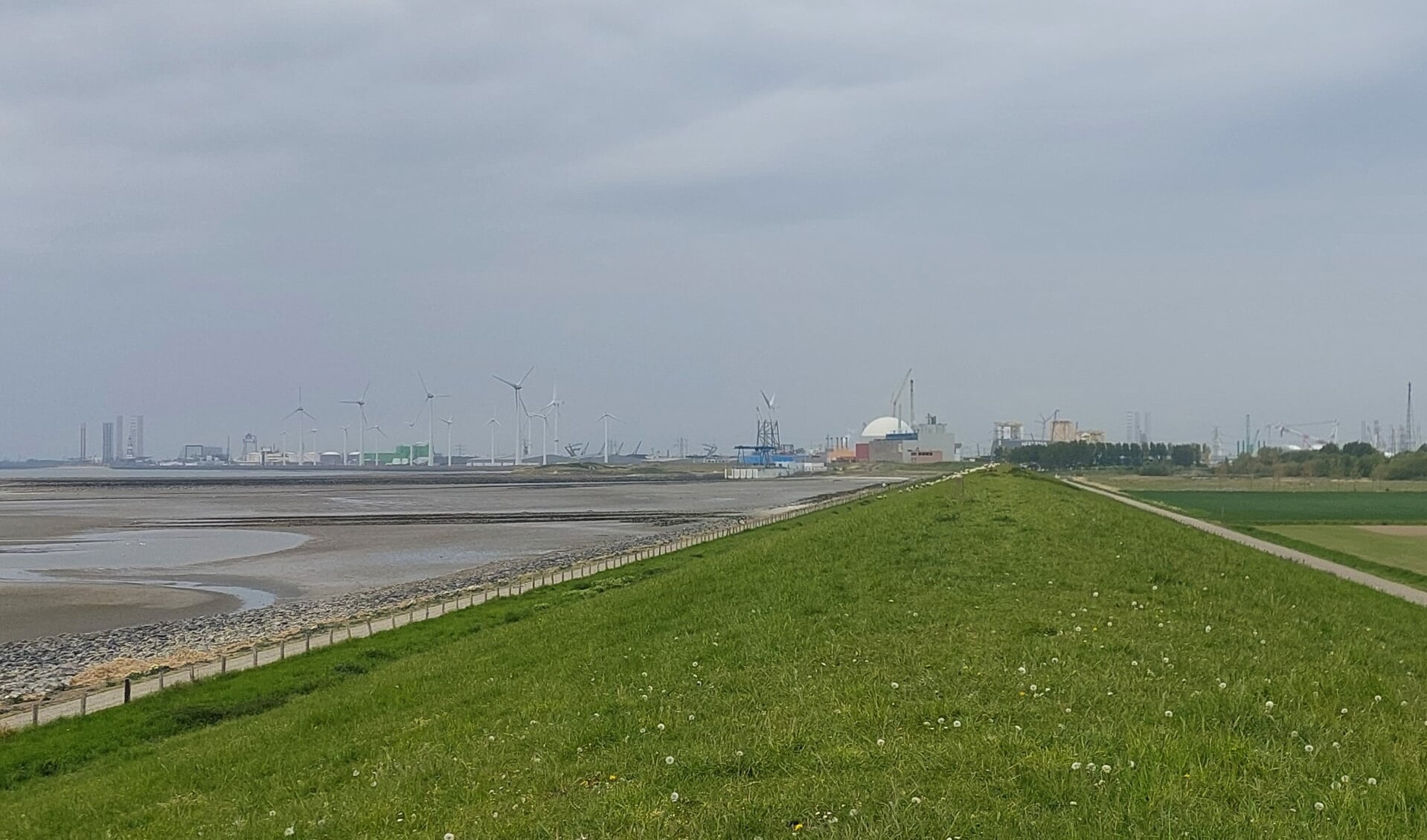 De kerncentrale bij Borssele.