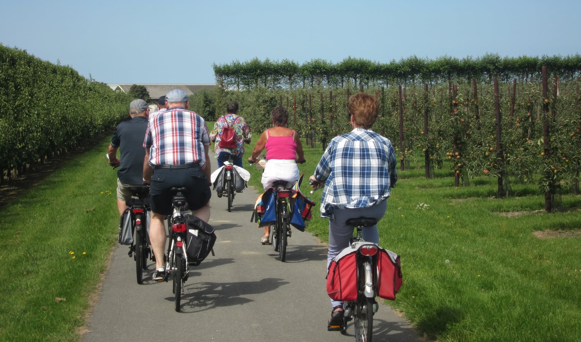 fietsers door de boomgaard