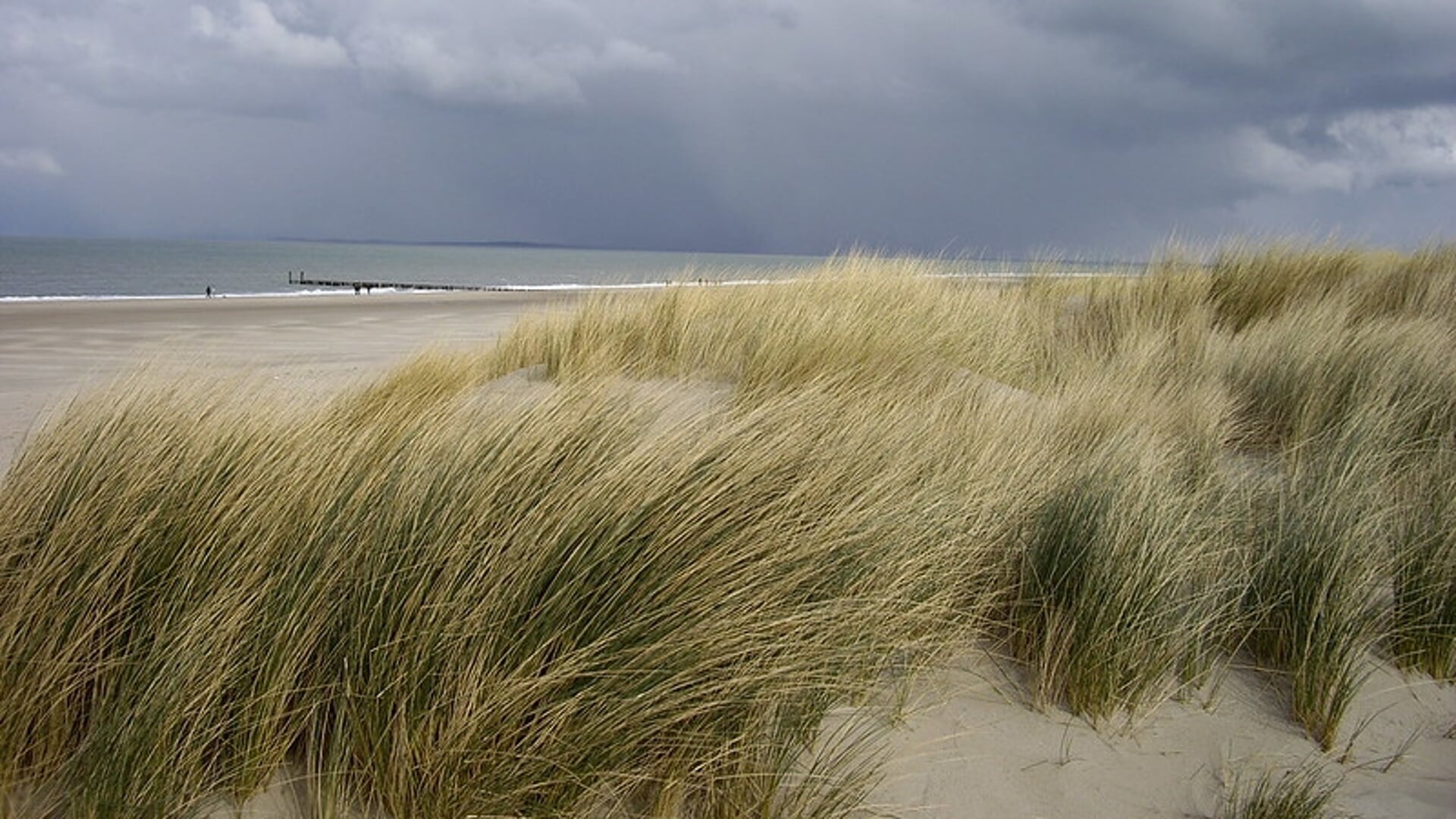 De duinen bij Oranjezon