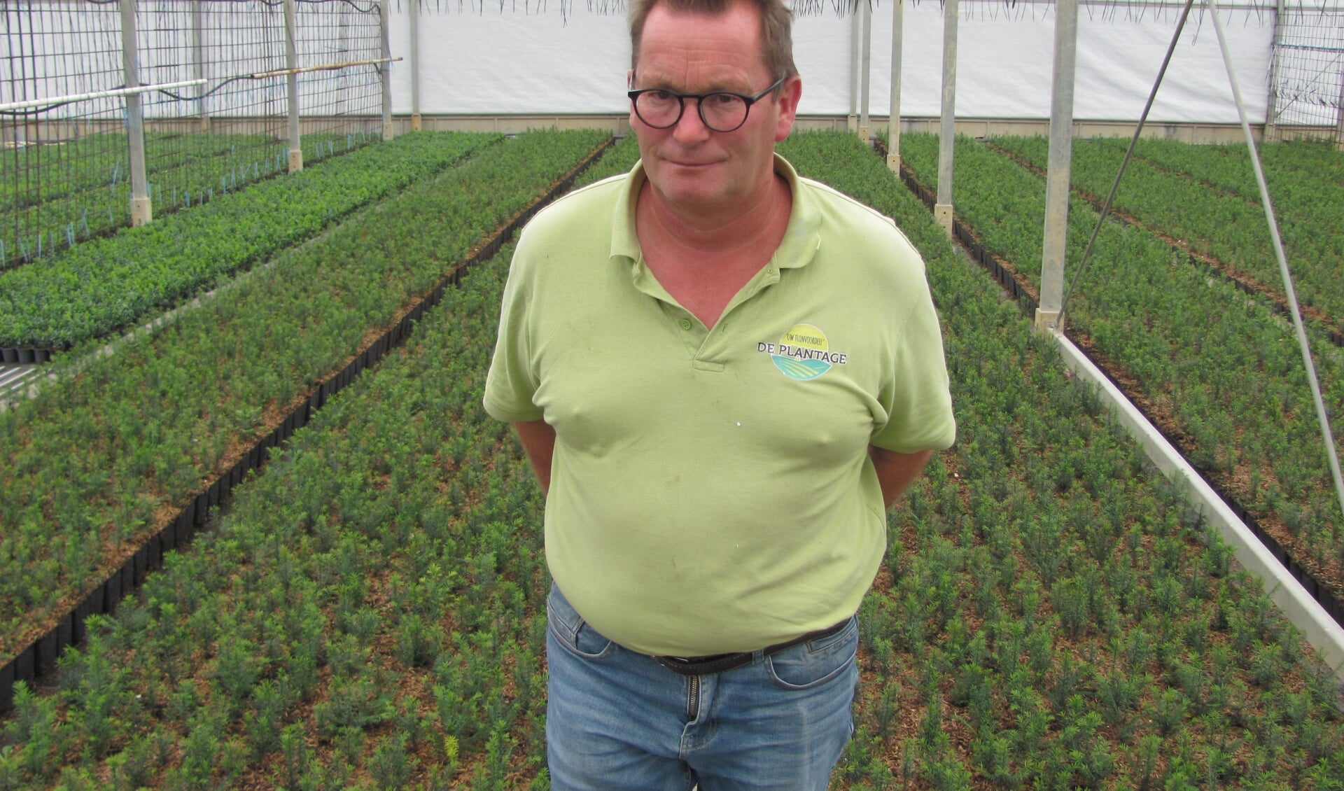 Perry Pijnen: ‘We gaan straks puur als kwekerij verder’ 