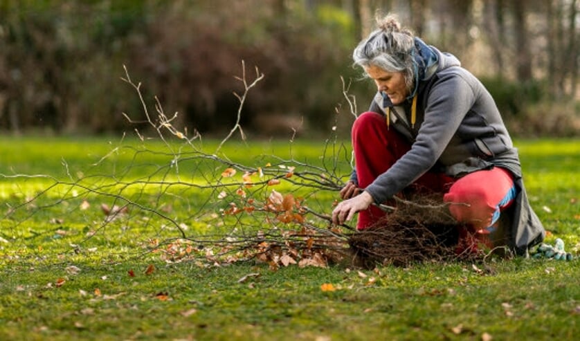 Dit weekend vrijwilligers gezocht voor 'Meer Bomen Nu'