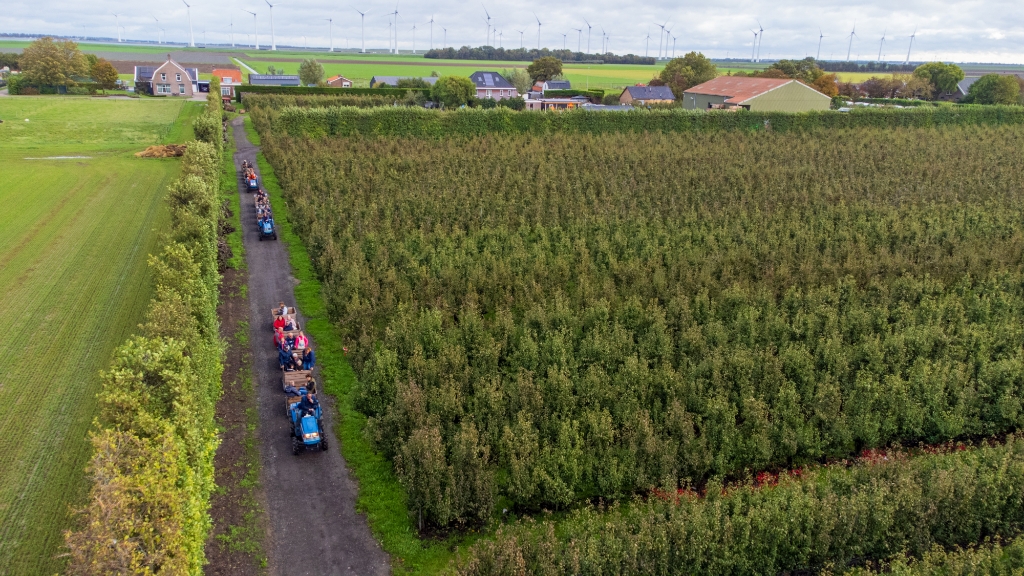 Plukdag in Anna Jacobapolder: Zoeken naar de gouden appel