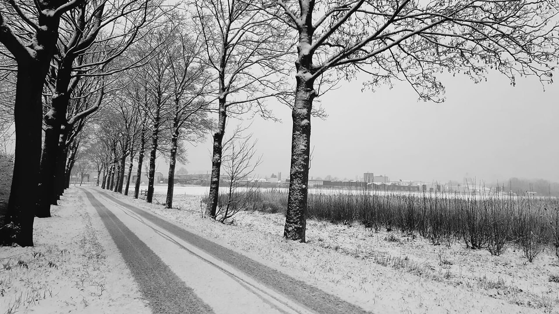 Sneeuw in Halderberge