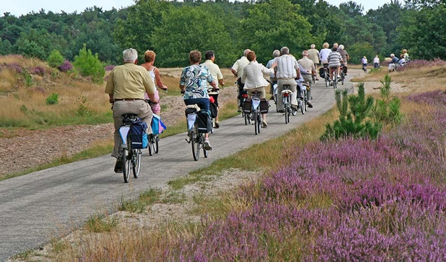 Senioren fietsgroepen