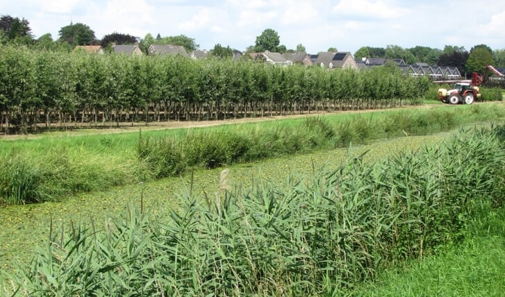 Afbeelding