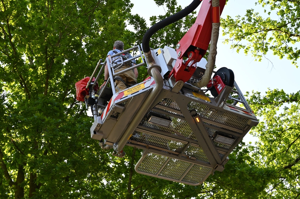 Brandweer Redt Kat Die Al Twee Nachten Vast Zat In Een Boom - Oozo.nl