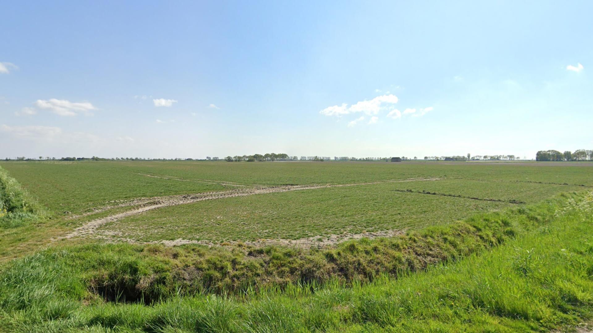 Het open veld tussen de Geerweg en de Lange Zandweg.