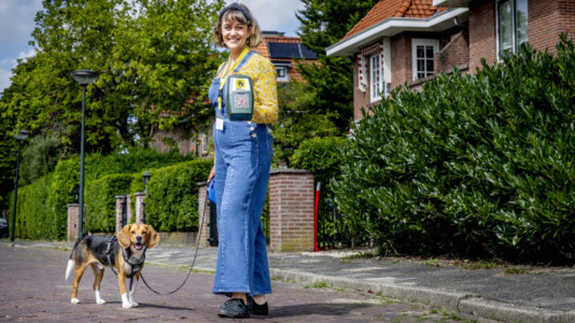 Dierenbescherming Zoekt Collectanten In Breda: ‘Iedereen Kan Dierenleed ...