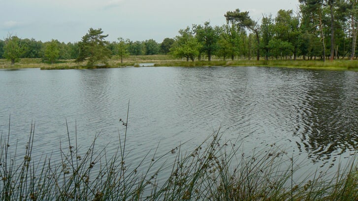 Het Bronven in Kortenhoeff, een natuurgebied met een variatie aan terreintypen 