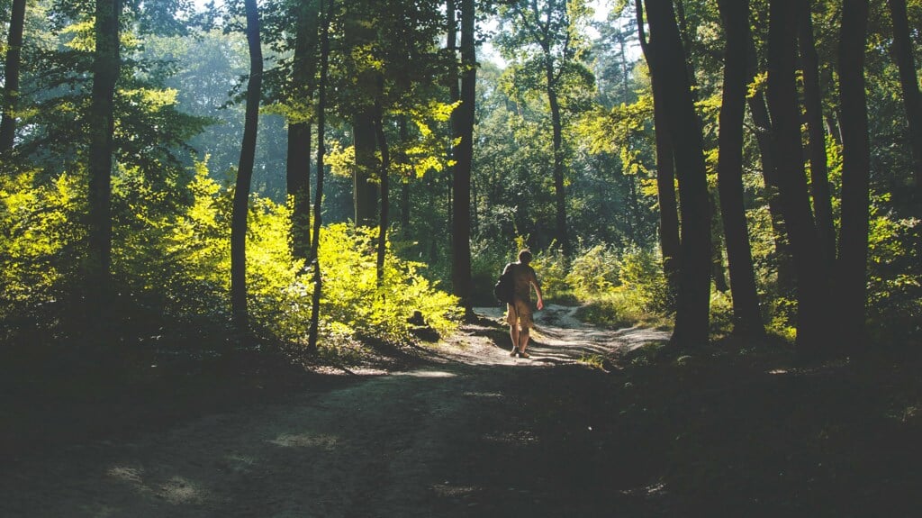 Regenval Zorgt Voor Vertraging Bij Aanleg Levensbos Haagse Beemden ...