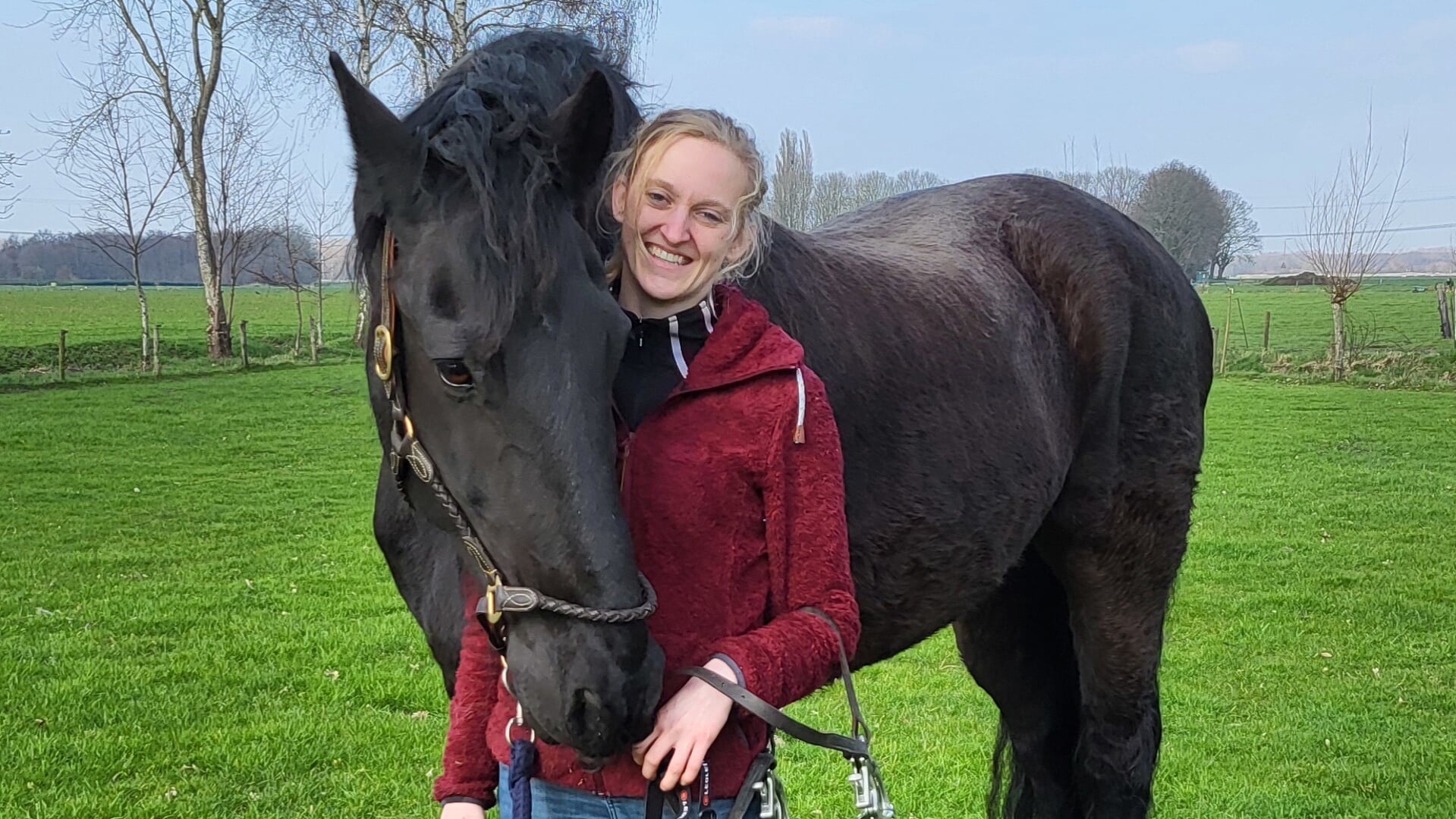 Merel Reijnders (27) behandelt paardengebitten.