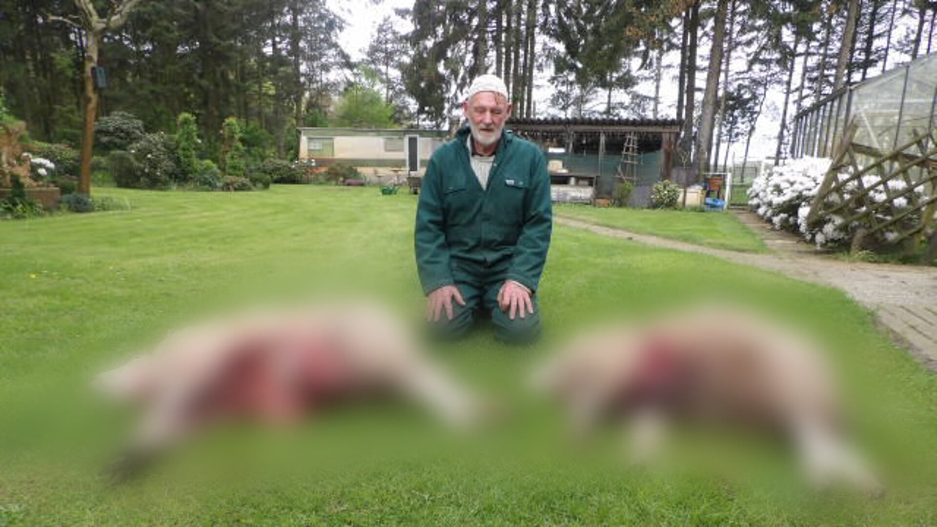 Kees Ruigrok bij zijn eerder deze maand gedode schapen.
