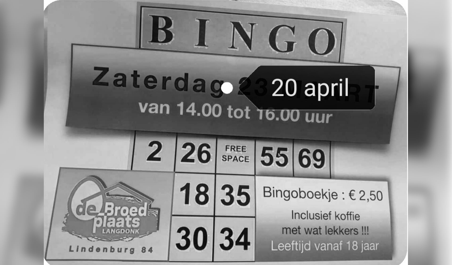 Bingo in de Broedplaats 