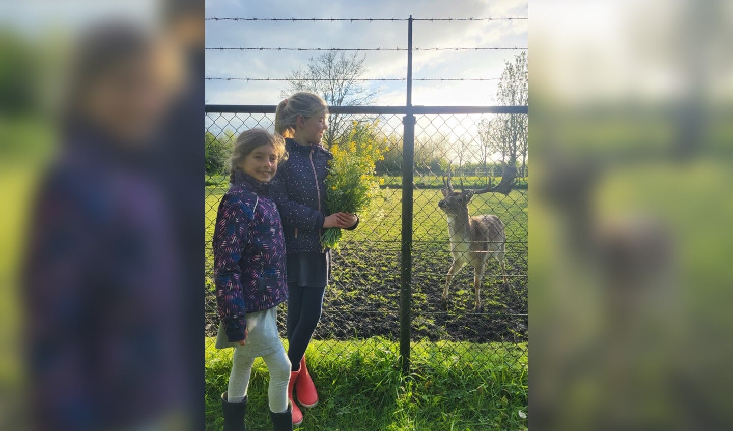 Mara en Elin gaan graag kijken bij de hertjes.
