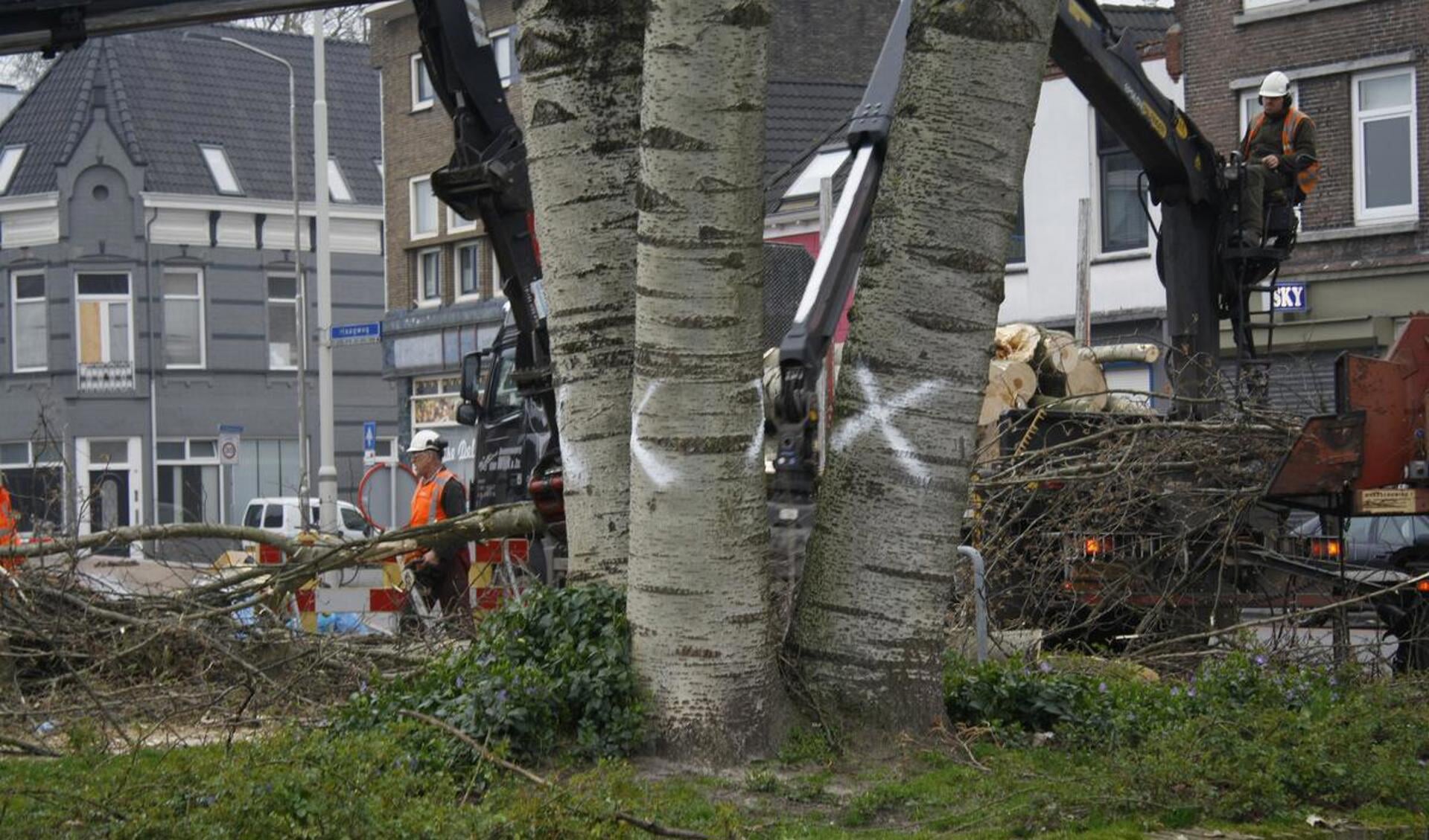 Bomen worden gekapt als voorbereiding op de herinrichting van het Dr. Jan Ingenhouszplein. foto Debra van der Heide